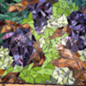 Meet your Posher, Alison